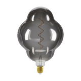 Große, dekorative Glühbirne mit spiralförmigem Filament, frontal abgebildet.