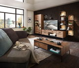 Wohnzimmer mit moderner Wandkombination aus Holz und Metall, TV-Unterteil, Vitrine und Couchtisch in Frontansicht.