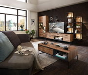 Wohnzimmer mit moderner Wandkombination aus Holz und Metall, TV-Unterteil, Vitrine und Couchtisch in Frontansicht.