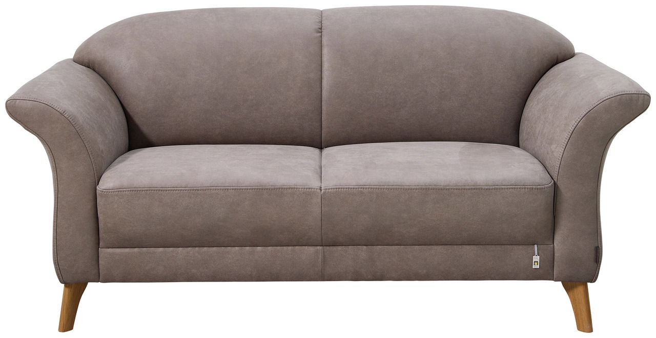 Graues 2,5-Sitzer Sofa mit Holzbeinen, Frontalansicht