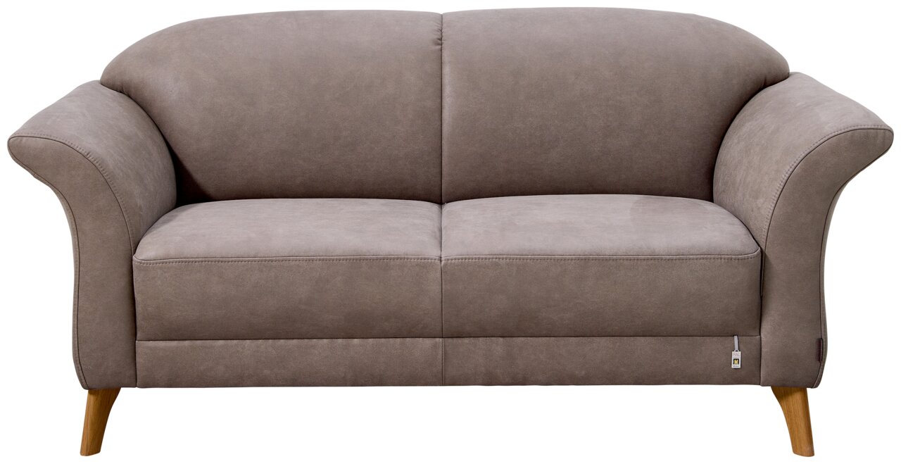 Graues 2,5-Sitzer Sofa mit Holzbeinen, Frontalansicht