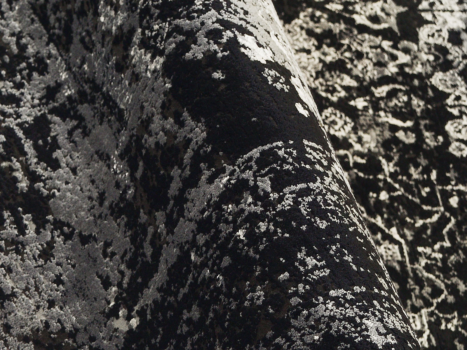 Nahaufnahme eines Designer-Teppichs mit abstraktem, schwarz-weißem Muster in einer gewellten Perspektive.