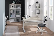 Moderner Schreibtisch in einem hellen Raum mit ergonomischem Stuhl, Bücherregal und Wandregalen, seitliche Perspektive.