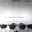 Neuhaus Pure Pendelleuchte PURE Surface PURE SURFACE
