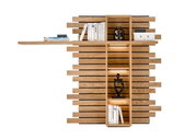 Wandpaneel met verspringend ontwerp en golvende structuur, gezien vanaf de voorkant. Gemaakt van hout met ingebouwde planken, versierd met boeken en een beeld.