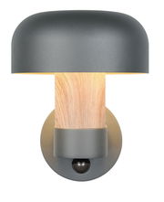 Moderne LED-Außenwandleuchte mit grauem Schirm und Holzoptik, frontal abgebildet