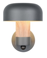 Moderne LED-Außenwandleuchte mit grauem Schirm und Holzoptik, frontal abgebildet