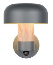Moderne LED-Außenwandleuchte mit grauem Schirm und Holzoptik, frontal abgebildet