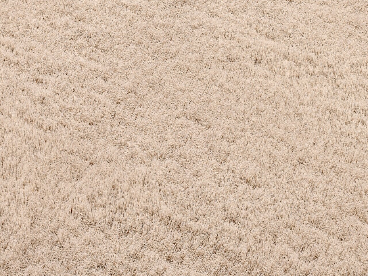 Nahaufnahme eines beigen Fellteppichs aus der Vogelperspektive