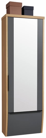 Hänge-Spiegelgarderobenschrank aus Holz mit grauen Akzenten, frontal abgebildet, mit zwei Aufbewahrungsboxen oben.