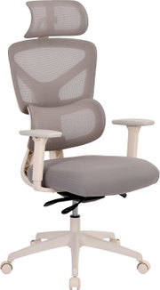 Ergonomischer Bürostuhl mit grauer Netz-Rückenlehne, verstellbarer Kopfstütze, gepolsterter Sitzfläche, Armlehnen und weißem Drehkreuz auf Rollen, freigestellt auf weißem Hintergrund; Perspektive: frontale Ansicht leicht von links.