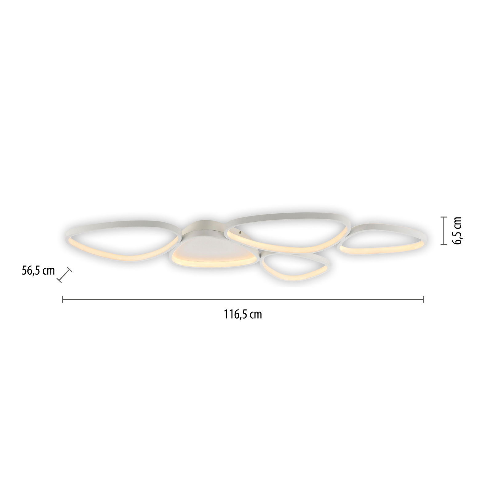 Moderne Deckenleuchte mit organischen Formen, seitliche Perspektive, Maße: 116,5 cm x 56,5 cm x 6,5 cm