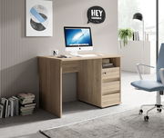 Moderner Schreibtisch aus Holz mit Schubladen, seitlicher Perspektive, in einem stilvollen Büro mit Computer und Dekoration.