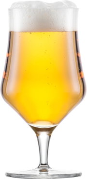 Nahaufnahme eines gefüllten Bierglases mit Schaumkrone, frontal betrachtet.