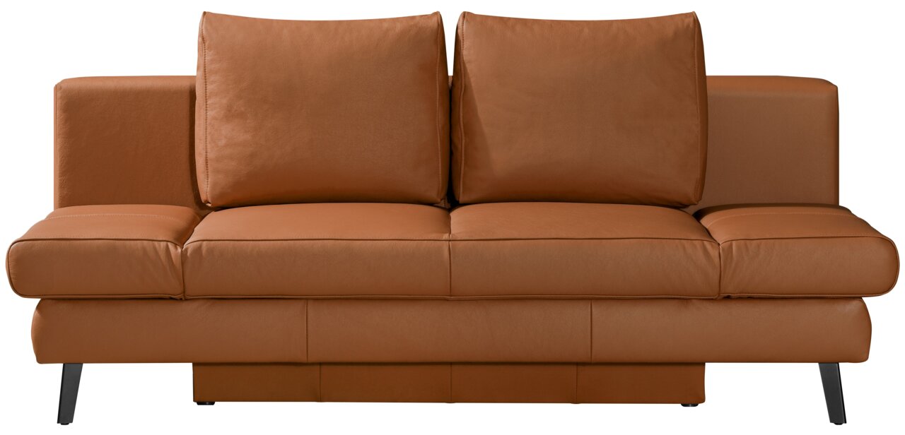 Braunes Querschläfer-Sofa aus Leder, Frontalansicht
