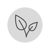 Symbol eines Blattes in einer kreisförmigen Darstellung, von vorne betrachtet.