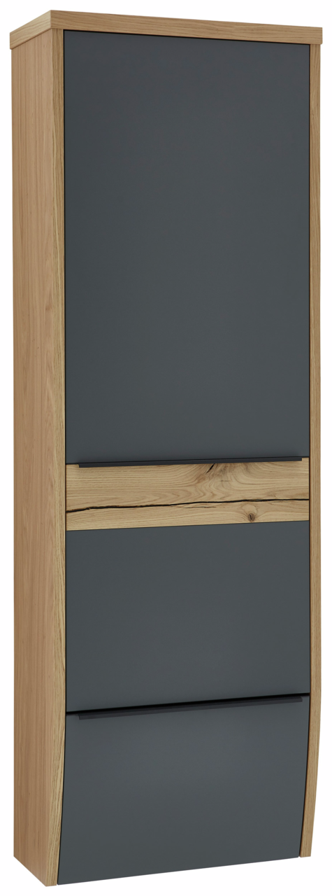 Dieter Knoll Hängegarderobenschrank ARCO TREND Moderner Hängegarderobenschrank in Holzoptik mit dunklen Fronten, seitliche Perspektive