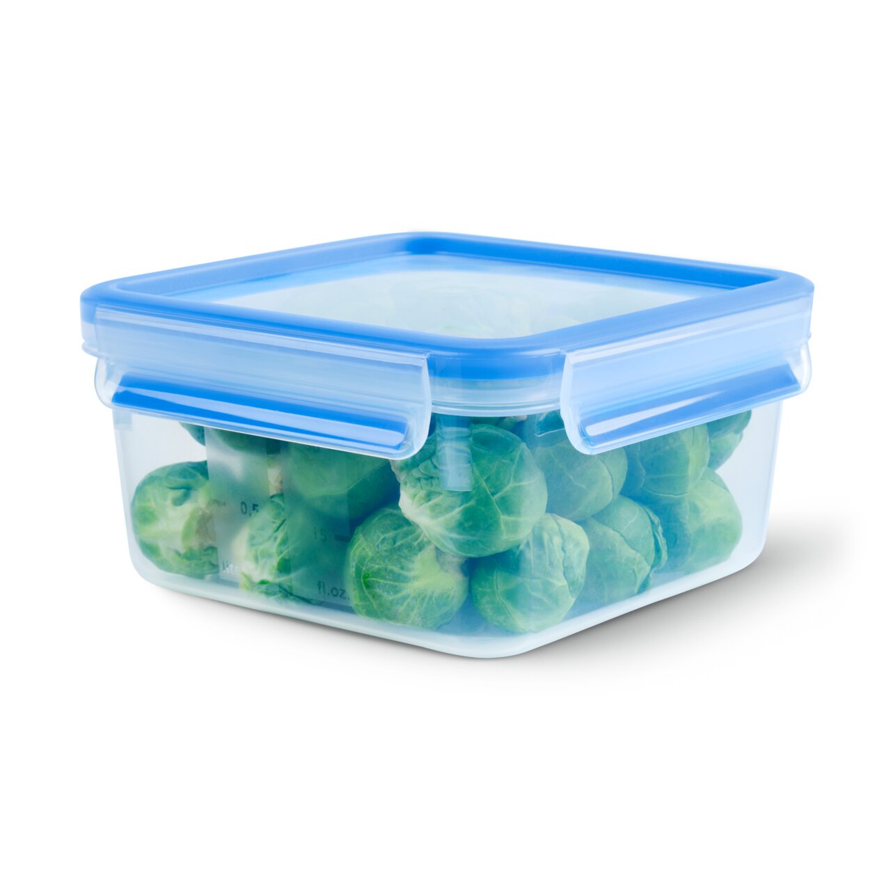 Transparente Frischhaltedose mit blauem Deckel, gefüllt mit Rosenkohl, aus seitlicher Perspektive.