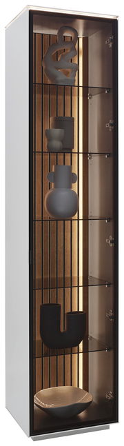 Vitrine mit Glasregalen und dekorativen Objekten, seitliche Perspektive