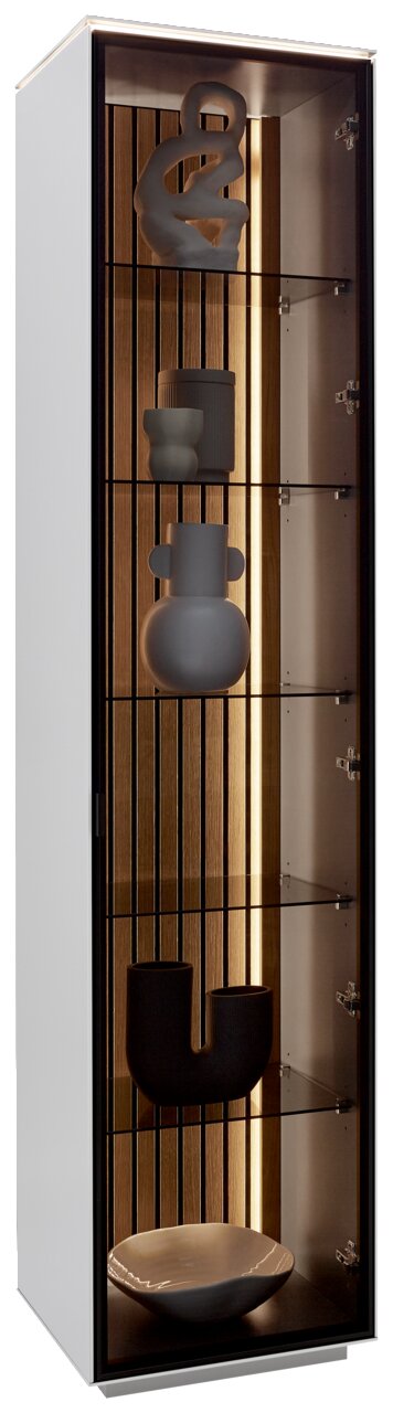 Dieter Knoll Vitrine RIANI Vitrine mit Glasregalen und dekorativen Objekten, seitliche Perspektive