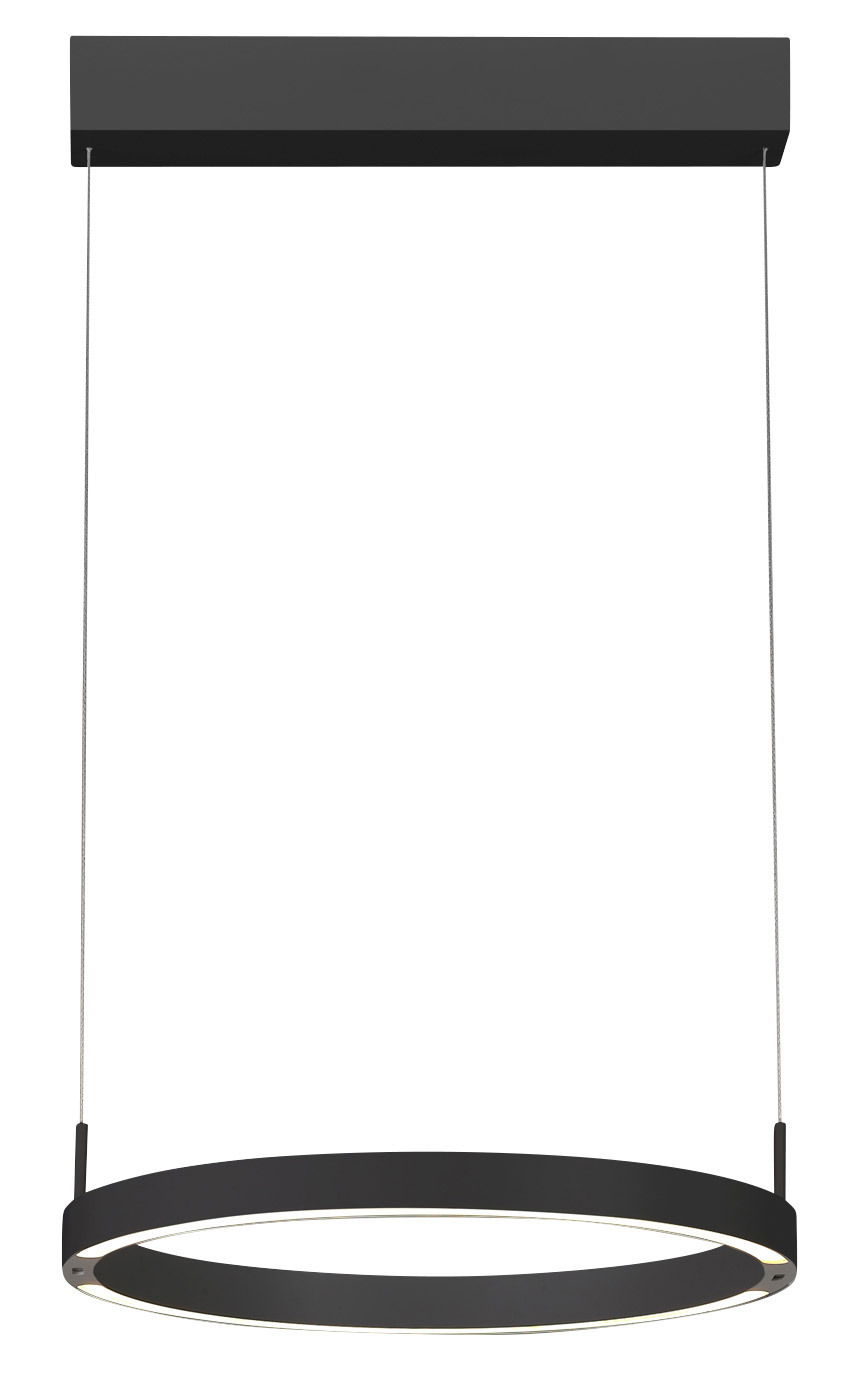 Moderne schwarze Pendelleuchte FLOAT in Ringform, seitliche Perspektive