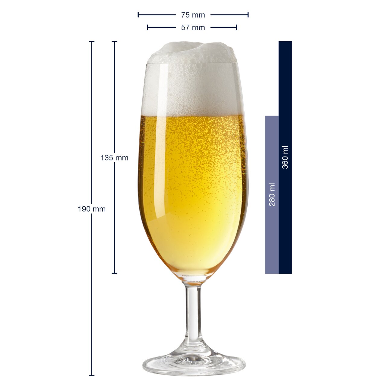 Bierglas Daily, gefüllt mit Bier, seitliche Ansicht mit Schaumkrone, Maße: 190 mm hoch, 75 mm Durchmesser oben, 57 mm Durchmesser unten, Fassungsvermögen 360 ml.