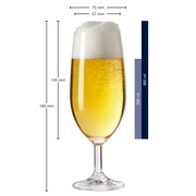 Bierglas Daily, gefüllt mit Bier, seitliche Ansicht mit Schaumkrone, Maße: 190 mm hoch, 75 mm Durchmesser oben, 57 mm Durchmesser unten, Fassungsvermögen 360 ml.