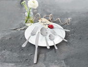 Besteckset Monza 30-tlg. auf einem weißen Teller, bestehend aus Messer, Gabel, Löffel und Teelöffel, mit einer Blume im Hintergrund, aus der Vogelperspektive fotografiert.