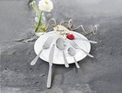 Besteckset Monza 30-tlg. auf einem weißen Teller, bestehend aus Messer, Gabel, Löffel und Teelöffel, mit einer Blume im Hintergrund, aus der Vogelperspektive fotografiert.