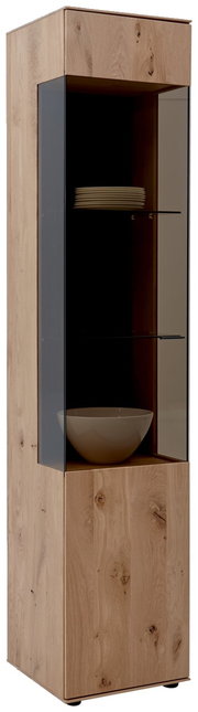 Vitrine aus Holz mit Glastür, zwei Glasböden und dekorativen Elementen, seitliche Perspektive