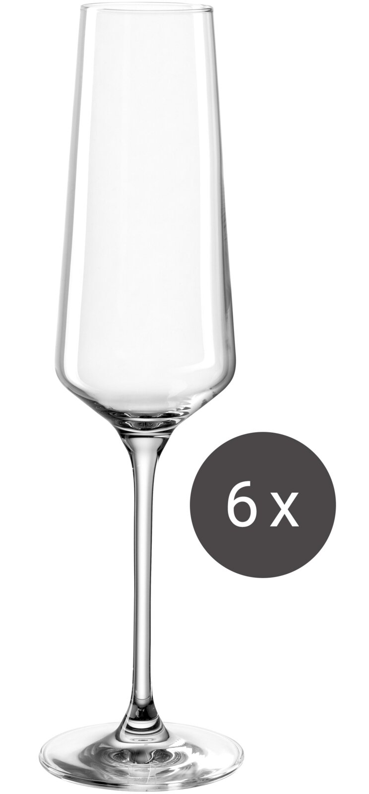 Champagneglas van 280 ml uit een set van 6, afgebeeld van voren.