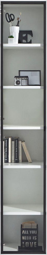 Glastür mit schwarzem Rahmen, dahinter ein Regal mit Büchern, Dekoration und einem Radio, frontal aufgenommen.