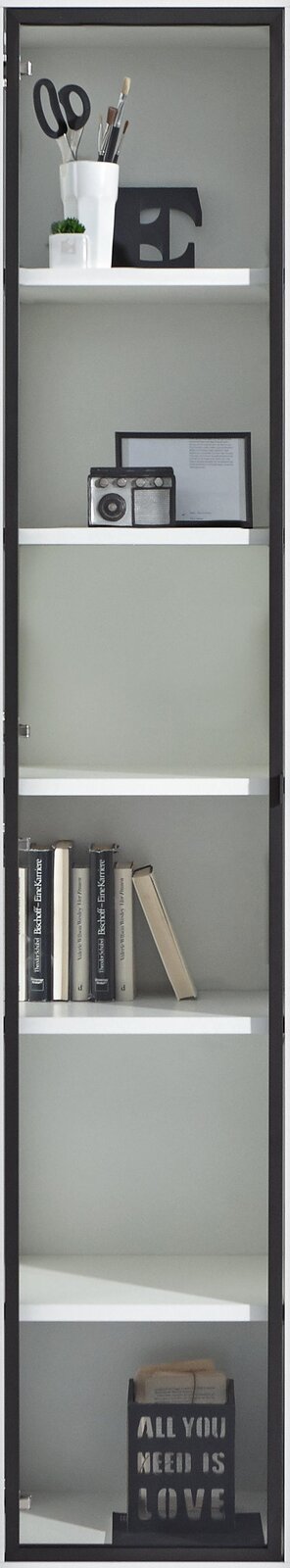 Glastür mit schwarzem Rahmen, dahinter ein Regal mit Büchern, Dekoration und einem Radio, frontal aufgenommen.