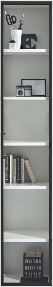 Glastür mit schwarzem Rahmen, dahinter ein Regal mit Büchern, Dekoration und einem Radio, frontal aufgenommen.