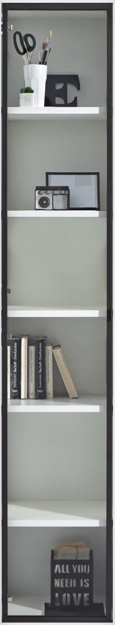 Glazen deur met zwart kozijn, daarachter een plank met boeken, decoratie en een radio, van voren gefotografeerd.