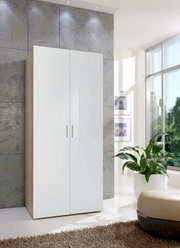 Moderner Kleiderschrank mit weißen Hochglanztüren, seitlicher Holzoptik und silbernen Griffen, in einem hellen Raum mit großen Fenstern, Pflanzen und Teppich, aus frontaler Perspektive.