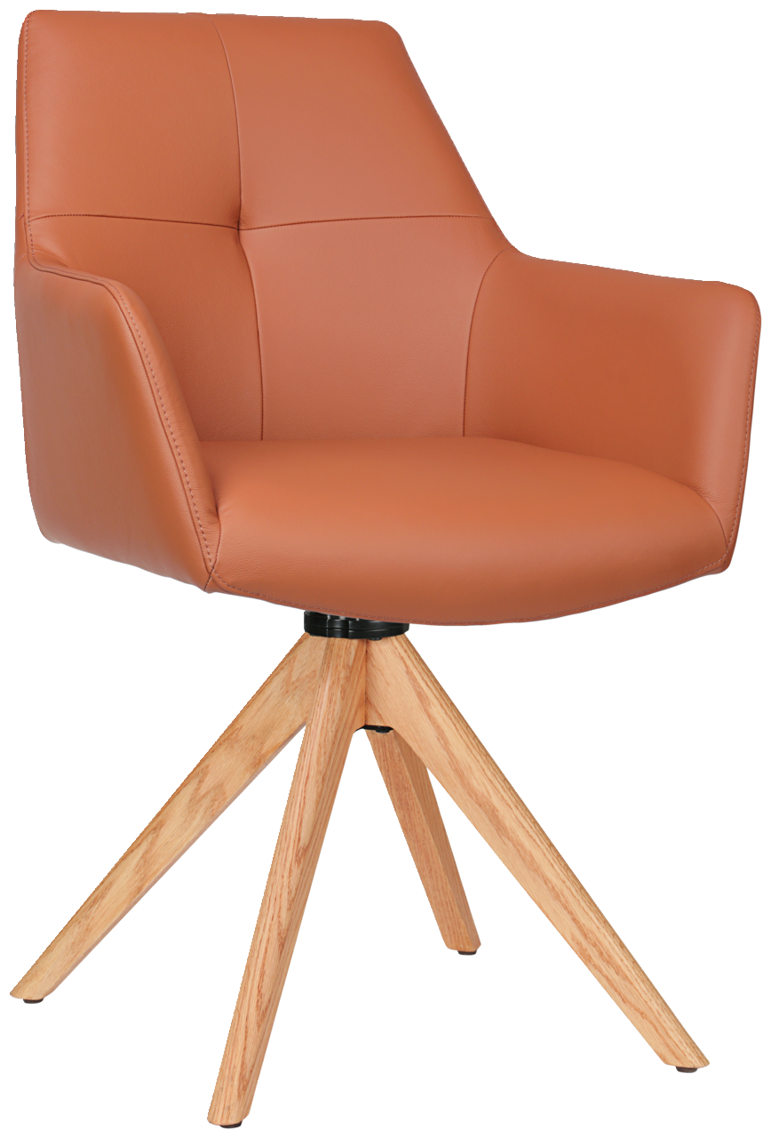 Novel Armlehnstuhl MEDUSA Moderner Armlehnstuhl mit braunem Lederbezug und Holzbeinen, seitliche Perspektive
