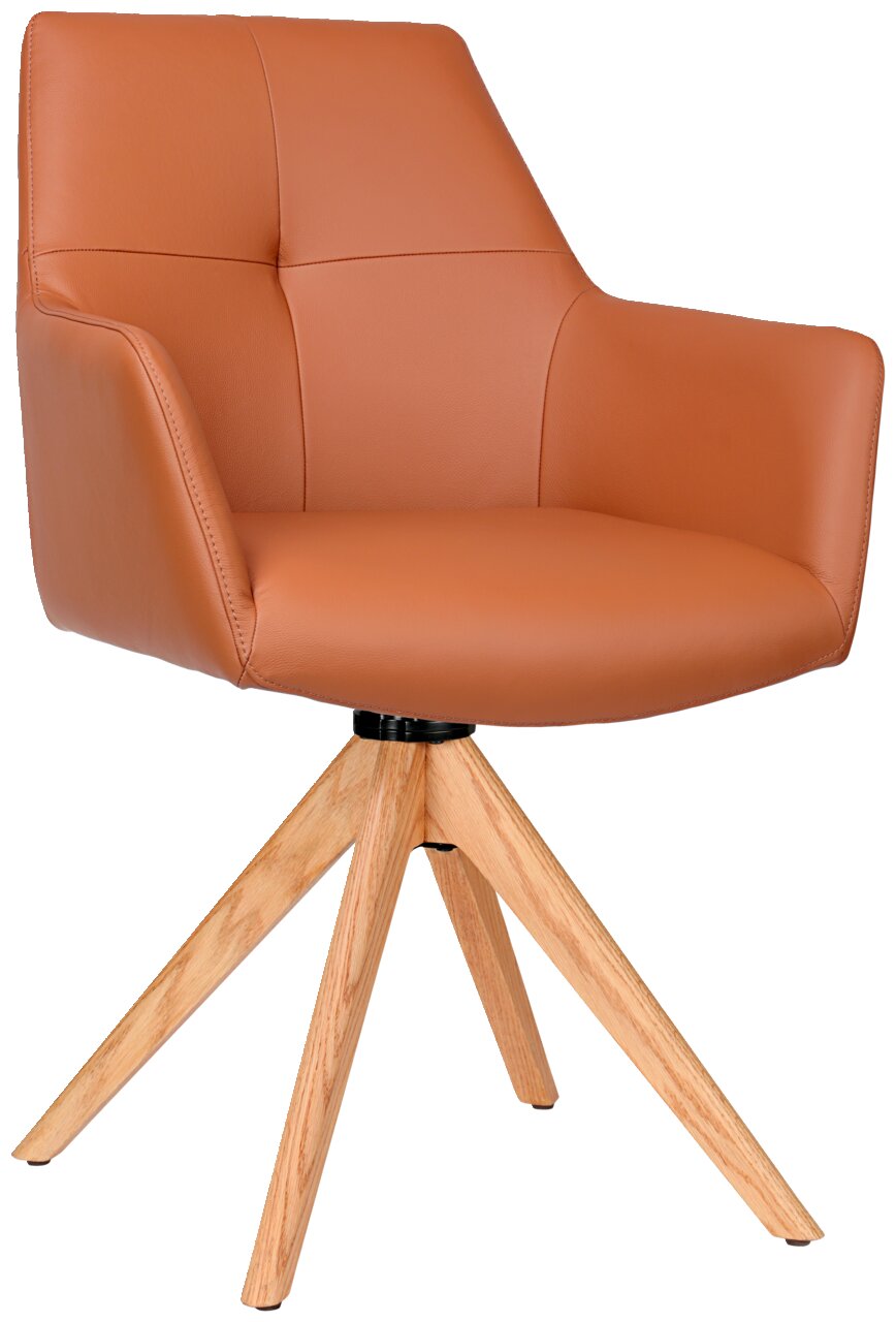 Novel Armlehnstuhl MEDUSA Moderner Armlehnstuhl mit braunem Lederbezug und Holzbeinen, seitliche Perspektive