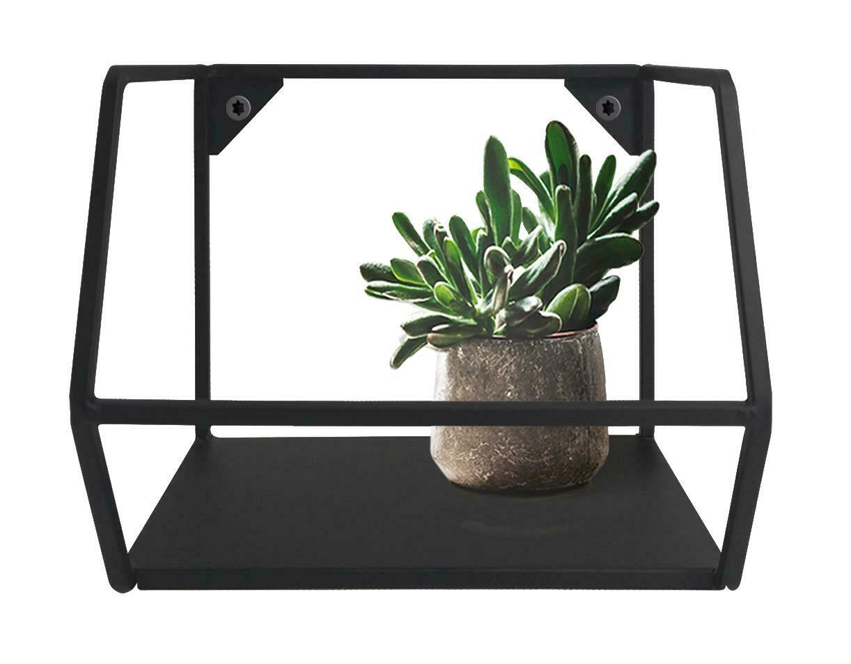 Schwarzes Wandregal NORA mit geometrischem Design, frontal abgebildet, mit einer kleinen Pflanze in einem Topf.