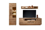 Wandkombination aus Holz mit TV-Schrank, Vitrine und Wandregal, frontal betrachtet