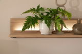 Holz-Wandregal mit integrierter Beleuchtung, dekoriert mit einem grünen Farn in einem Keramiktopf und einer modernen Skulptur. Frontalansicht.