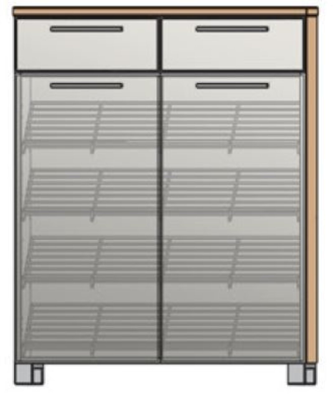 Moderner Schuhschrank mit zwei Schubladen und Glastüren, frontale Ansicht.