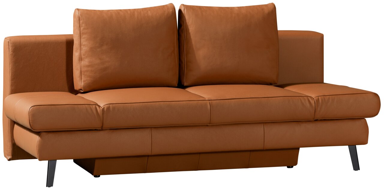 Braunes Querschläfer-Sofa aus Leder, Vorderansicht