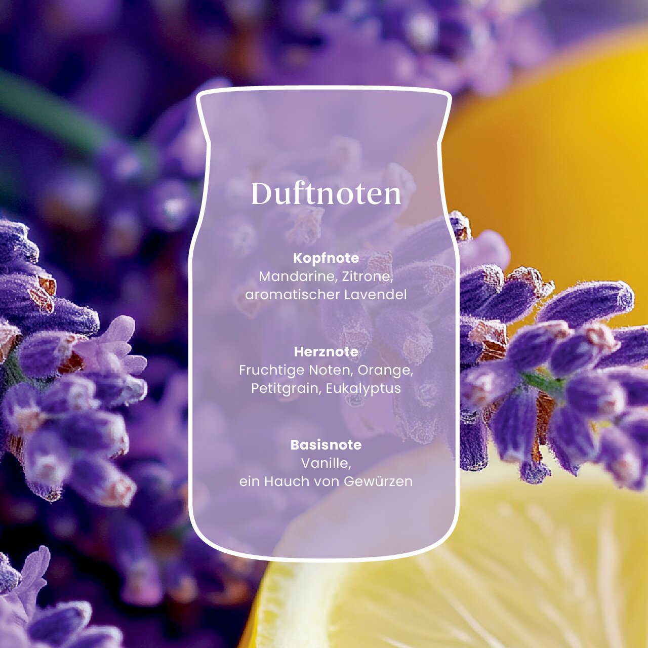 Frontalansicht einer stilisierten Duftflasche vor Lavendel und Zitrone mit Duftnoten aus Mandarine, Zitrone, Lavendel, Orange, Petitgrain, Eukalyptus, Vanille und Gewürzen.