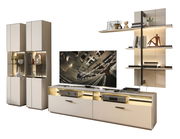 Moderne Wandkombination in hellem Design mit Vitrinen, TV-Schrank und Regalen, frontal betrachtet.