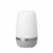 LED-Outdoorleuchte SPIRIT von Blomus, zylindrische Form, weiße Oberfläche, silberner Ring, frontale Ansicht