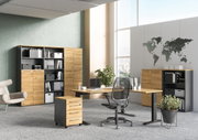 Moderne Büroumgebung mit Winkelschreibtisch, Aktenschränken und Rollcontainer in Holzoptik. Perspektive von vorne links.