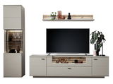 Moderne Wandkombination mit TV-Schrank, Vitrine und Regal in neutralen Farben, frontal betrachtet.