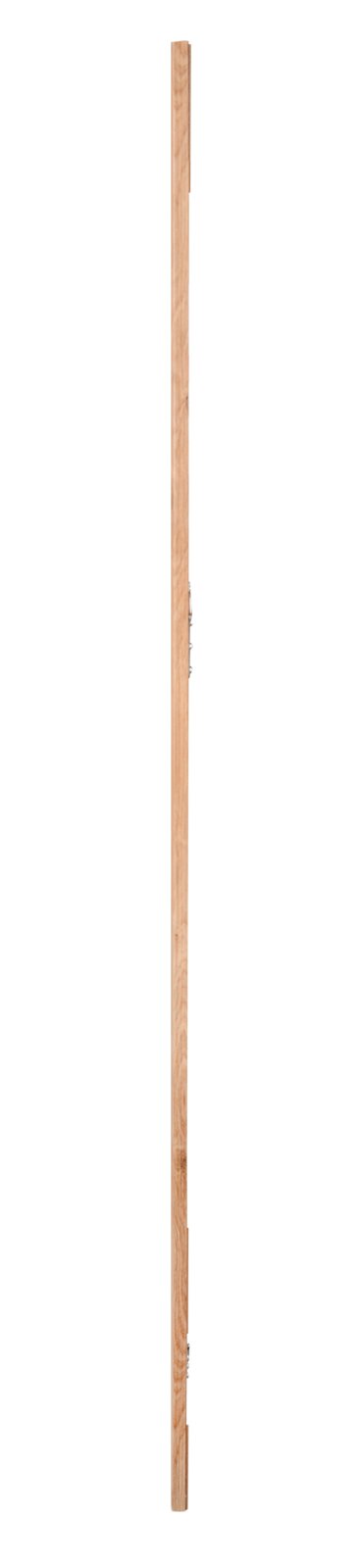 Seitenansicht eines schmalen, rechteckigen Spiegels mit Holzrahmen, 50x150cm.