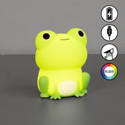 Leuchtendes Frosch-Nachtlicht mit Akku, USB-Anschluss und RGBW-Farbwechsel, frontal betrachtet.